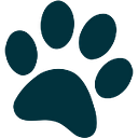Pet Creations Art