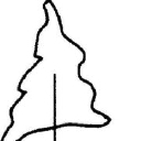 Peter Davis Builders, Inc. logo