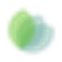 Peter Nyssen Germany logo