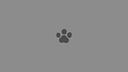 Petfocus Veterinary Group logo