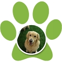 Pet Service Solutions logo