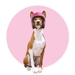 Petsy Inc. logo