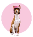 petsy.com.au