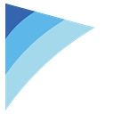 Petuum logo