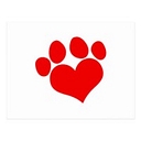 Kingsgate Animal Hospital