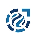Professional Financial Solutions. logo