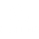 PF Staffing Services