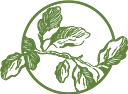 Phase One Landscapes logo