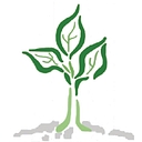 Phi Environmental Consulting logo