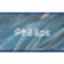 Phillips Foundation logo