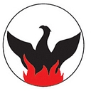 Phoenix Air Group logo