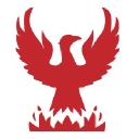Phoenix Display International logo