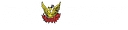 Phoenix Transport logo