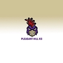 Favicon of Pleasant Hill R-III Schools