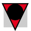 Physicalintelligence logo