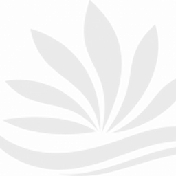 Physiotherapy Kent Ltd logo