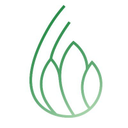 phytovoreshop.com logo