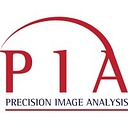 Precision Image Analysis logo
