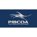 The Pain, Injury And Brain Centers Of America, Llc logo