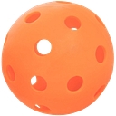 Pictona at Holly Hill