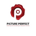 Picture Perfect Painters logo