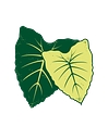 Partners In Development Foundation logo