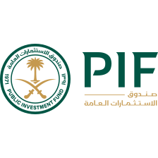 Public Investment Fund logo