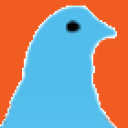 Palomacy Pigeon and Dove Adoptions logo