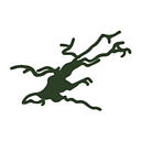Pikewood National Golf Club logo