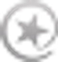 Pilates Plus logo