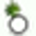 pinateria.de icon