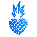 Pineapple Support logo