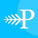 Pineberry logo