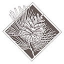 Favicon of Pine Needles by McKenna Ryan