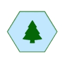 Pine Pediatric Therapy, Pc