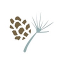 Pines Learning logo