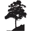 Pinetops Foundation logo