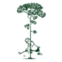 Pine Tree Golf Club Inc. logo