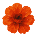 Dream logo