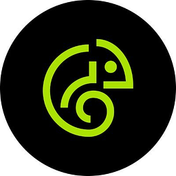 Pingle Studio logo