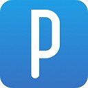 PingPong Payments logo