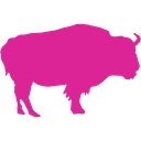 Pink Buffalo Films logo