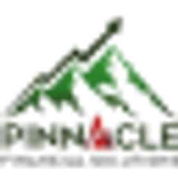 PINNACLE FINANCIAL SOLUTIONS LTD logo