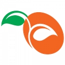 Pinnacle Wound Management logo