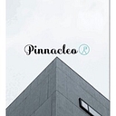 Favicon of Pinnacleo