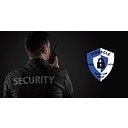 PINNACLE PROTECTION GROUP LLC