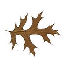 PIN OAK LINKS