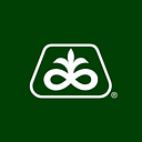Pioneer- logo