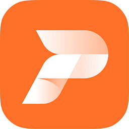 PIONEX INC logo