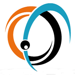 PIORION SOLUTIONS,INC logo